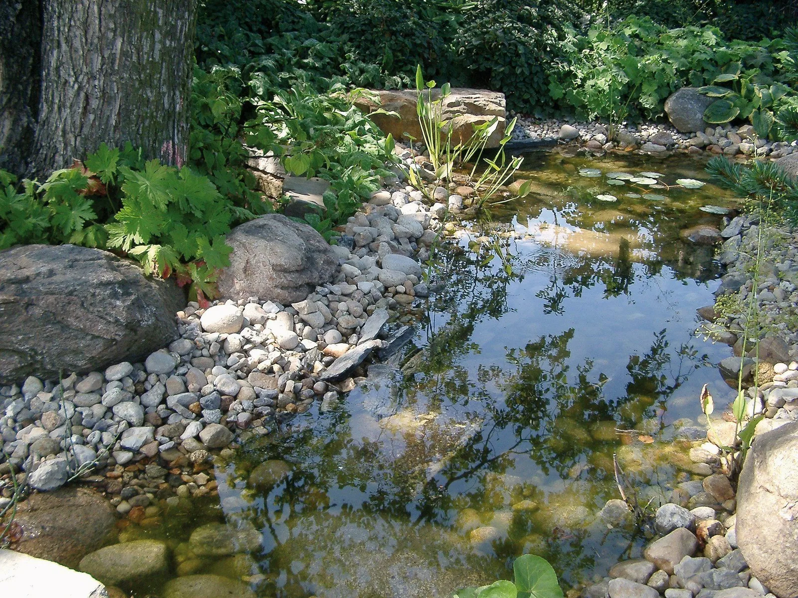 Naturnaher Gartenteich