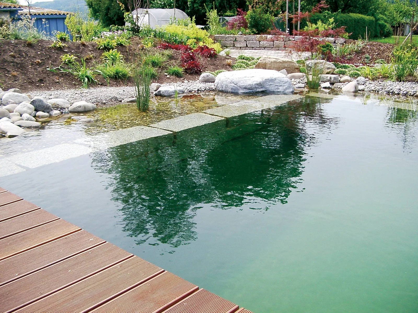 Natur-Pool mit klarem Wasser und Holzsteg in einem Privatgarten