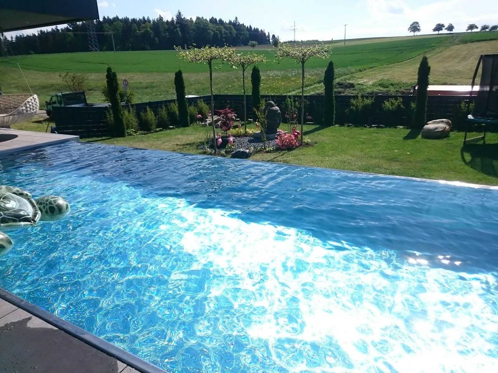 Natur-Pool im Hausgarten