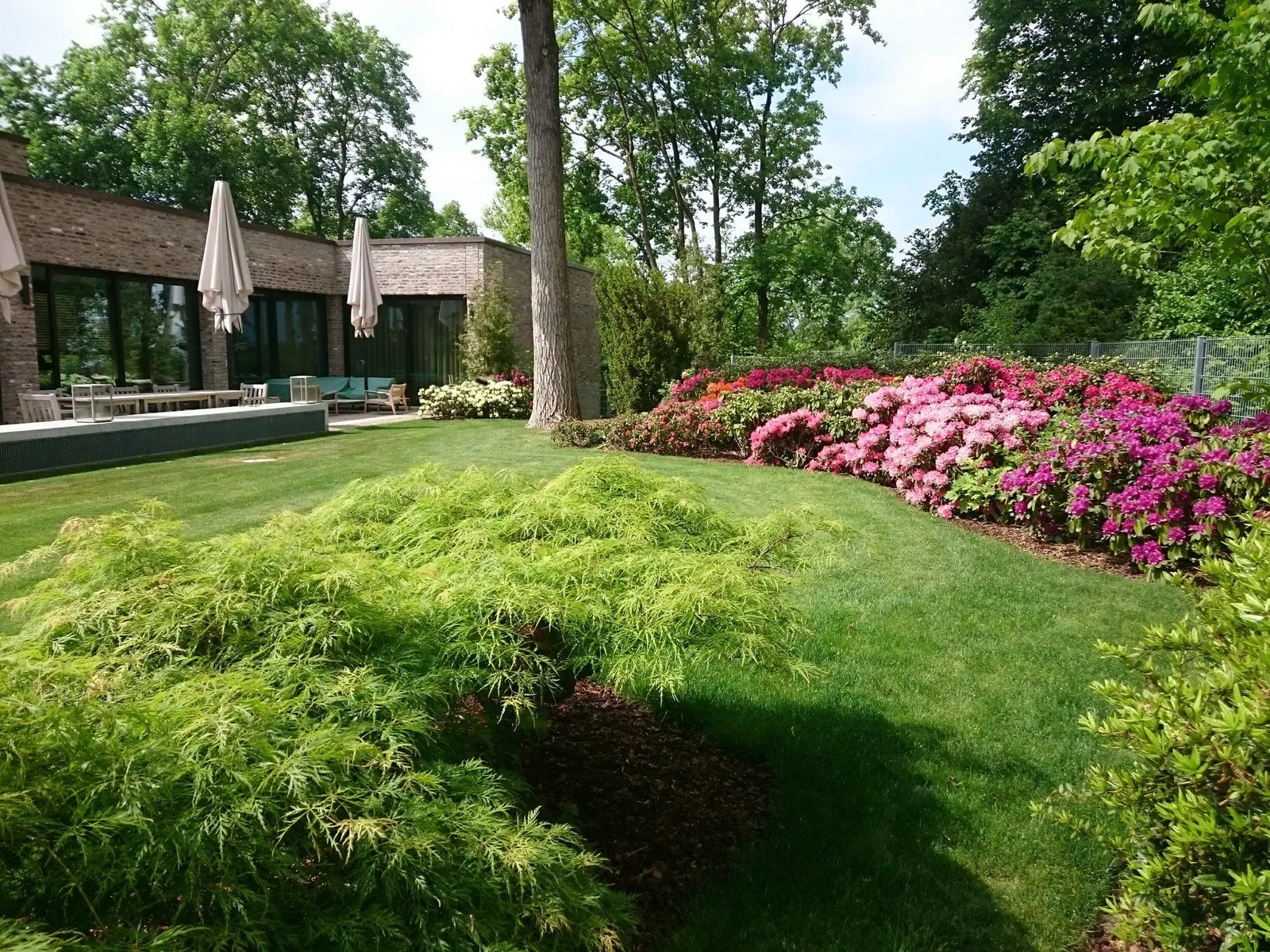Gartenhügel mit Blütengehölzen